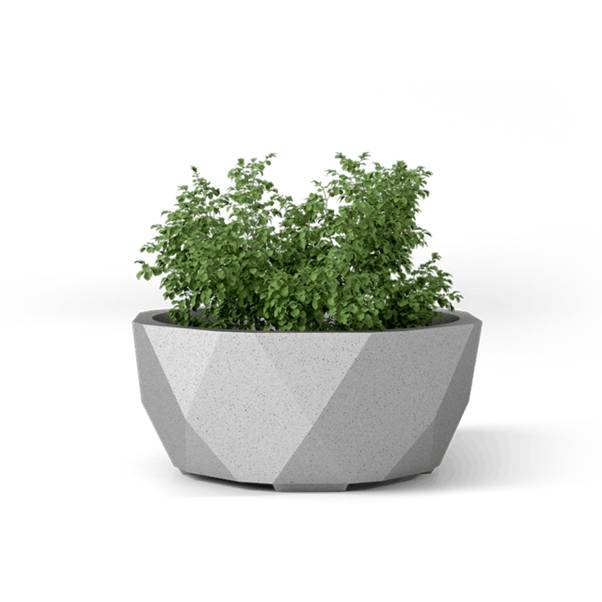 Benito Petrus Planter 