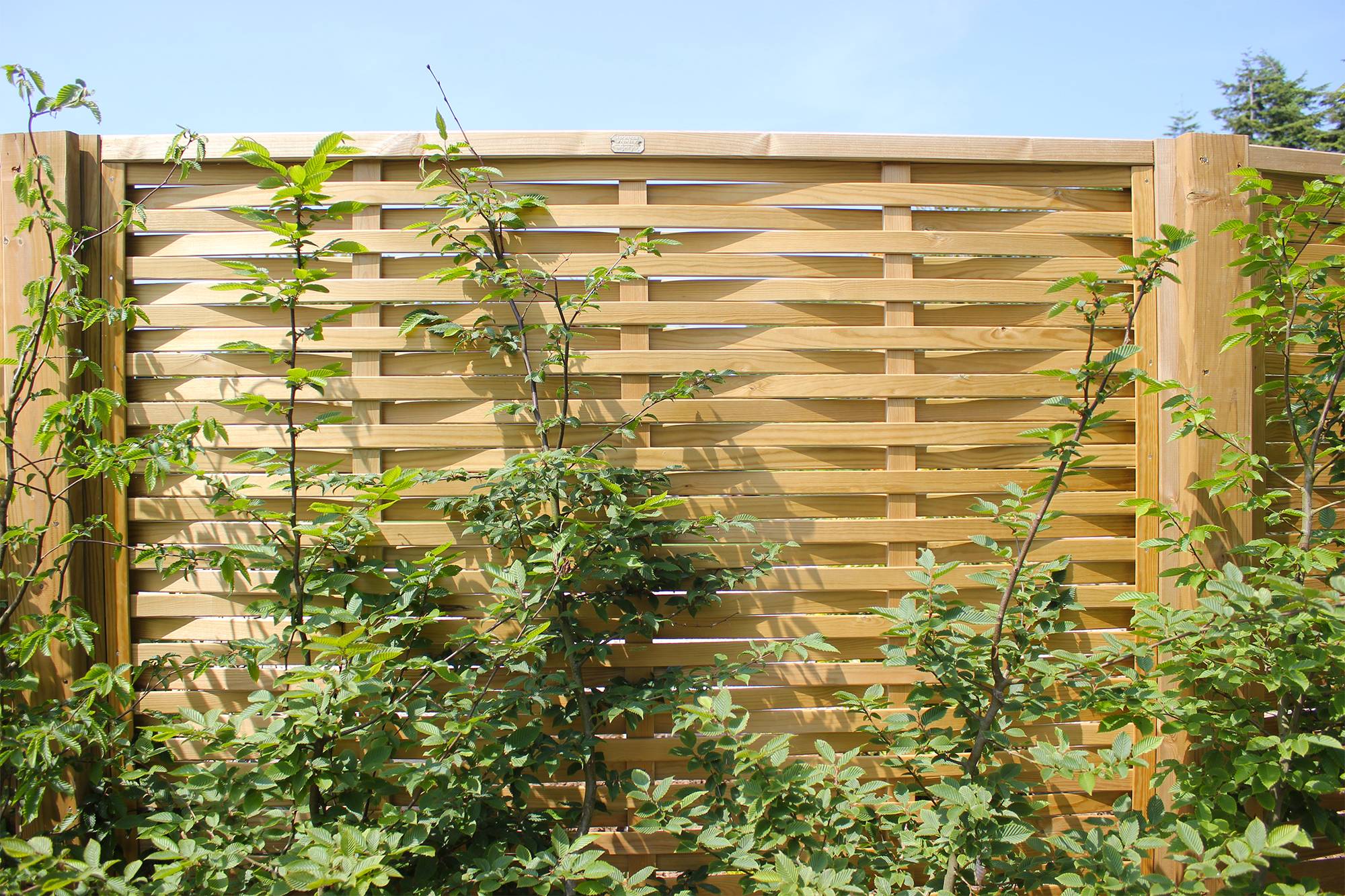 Woven Fence Panel and Gates - Timber fence panel