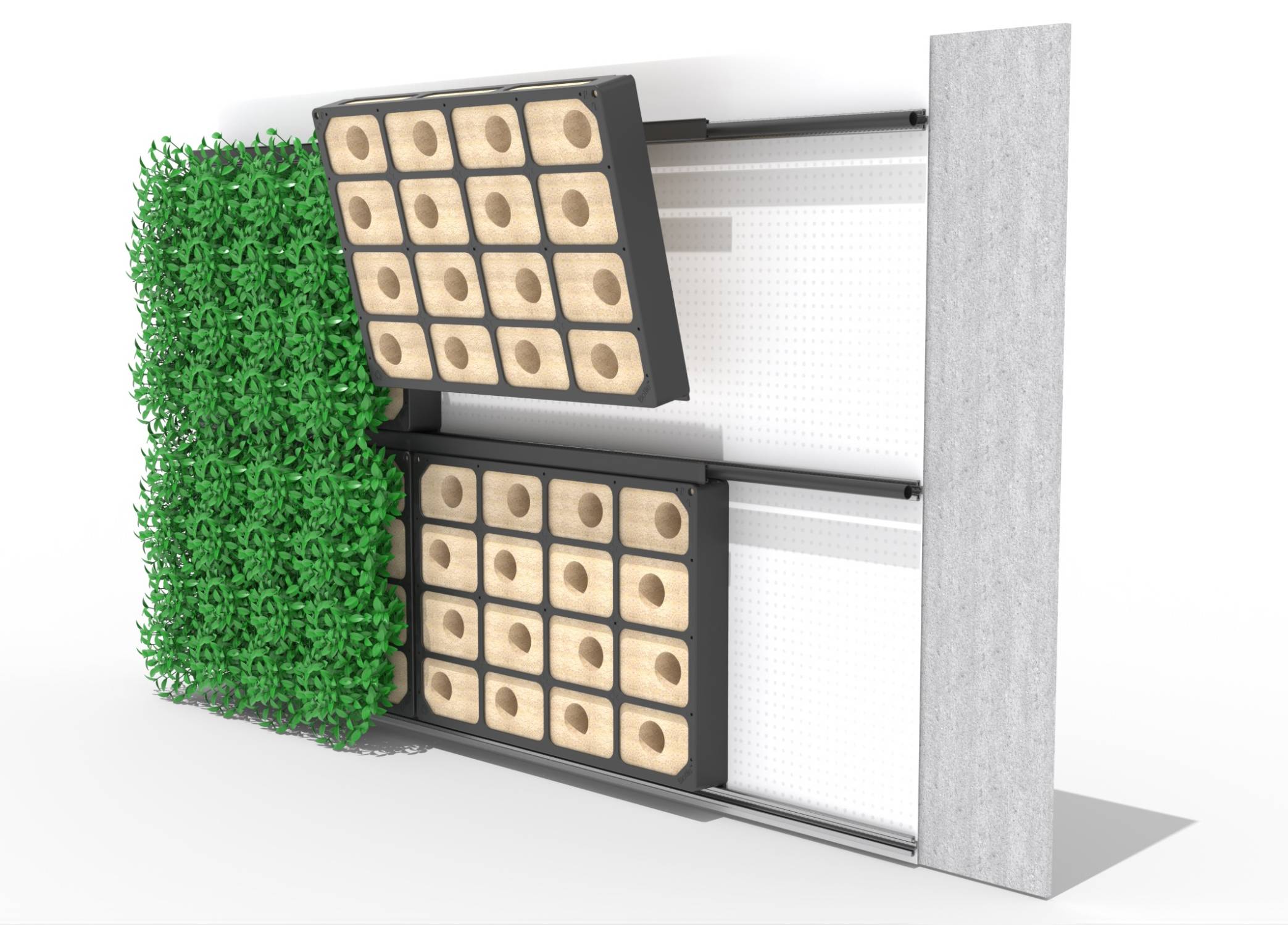 BioPanel Hydroponic Living Green Wall System - Green wall