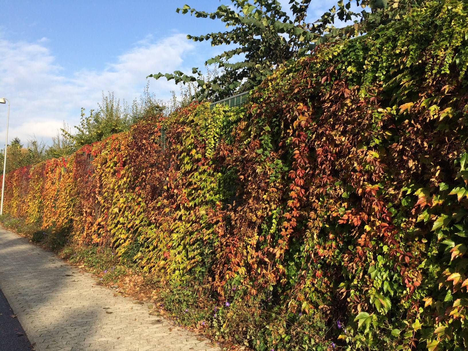 Noistop Acoustic Fence