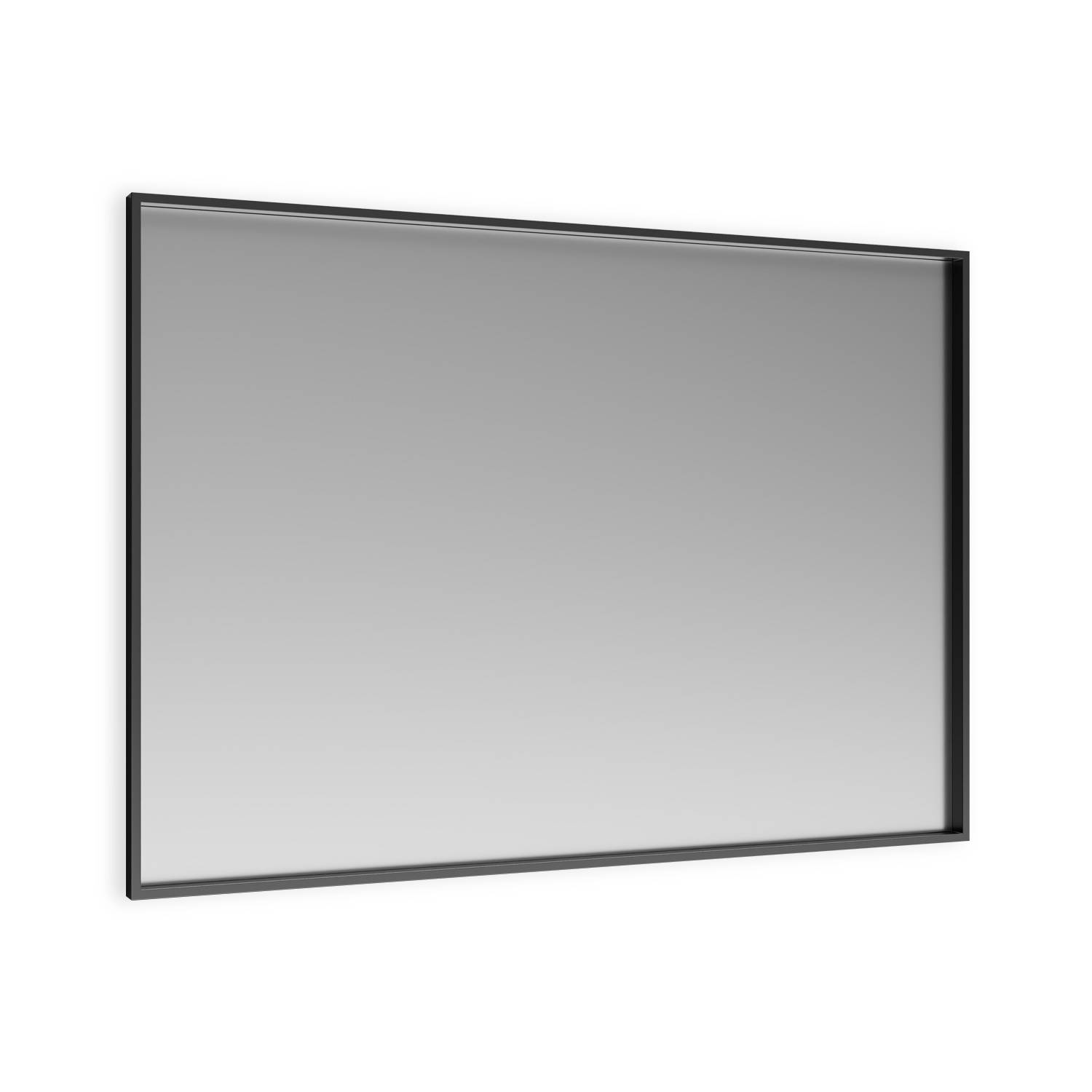 D25003 - Dolphin Rectangular Mirror