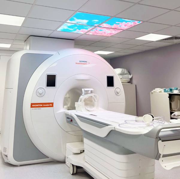 enviro-View® - Decorative LED Picture Lighting 