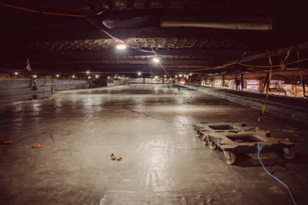 Embankment- Inverted roof - Refurbishment