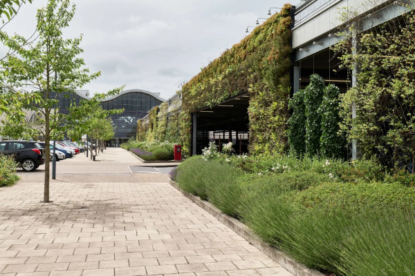 M&S Cheshire Oaks Green Wall