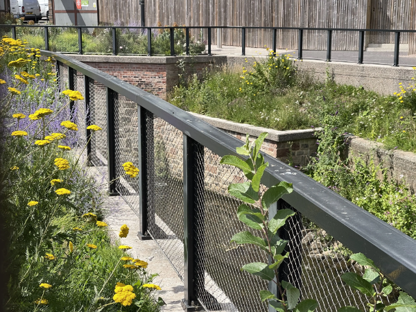 JAKOB Webnet Frames at Mayfield Park, Manchester