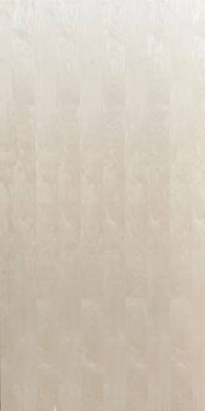 SPP Birch Plywood - Plywood Panels