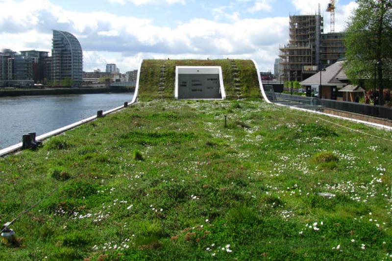 Fulham Jetty