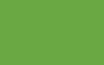 Viper Green Gloss (239906)