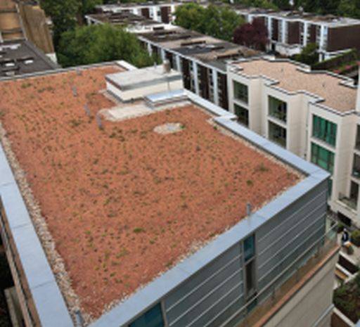 PermaQuik Semi Intensive Green Roof System Radmat Building Products Ltd NBS Source