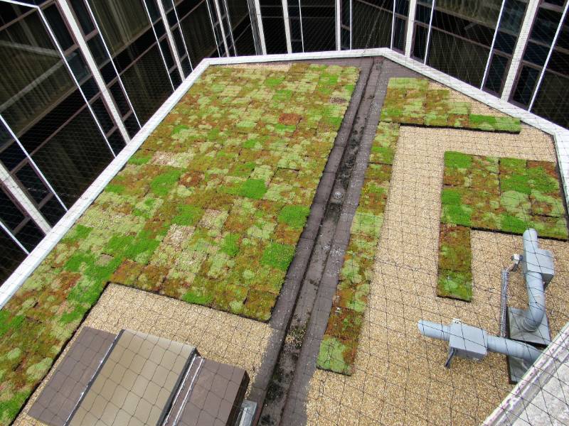 an M-Tray®  Green Roof reaching the parts other green roofs cannot reach