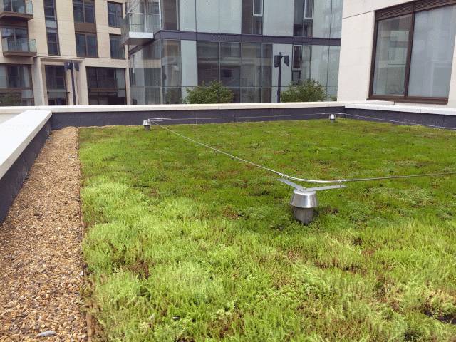 IN1 Intensive Green Roof Substrate