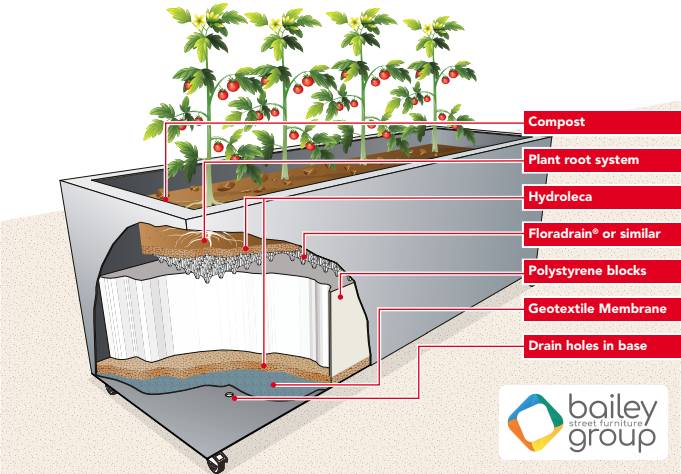 BSFG - Guidelines For Planting (07.2025)