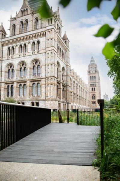 The Urban Nature Project at the Natural History Museum