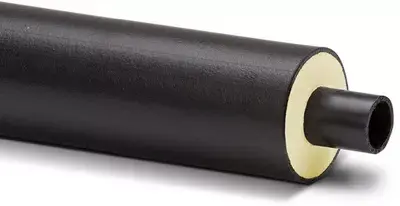 Kasvit ja eläimet