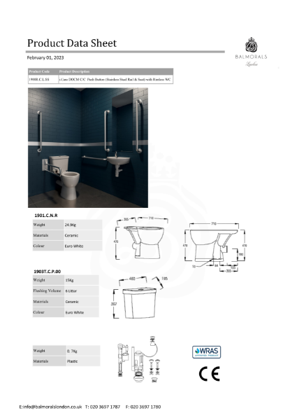 i.Care DOCM C/C Push Button (Stainless Steel Rail & Seat) with Rimless WC