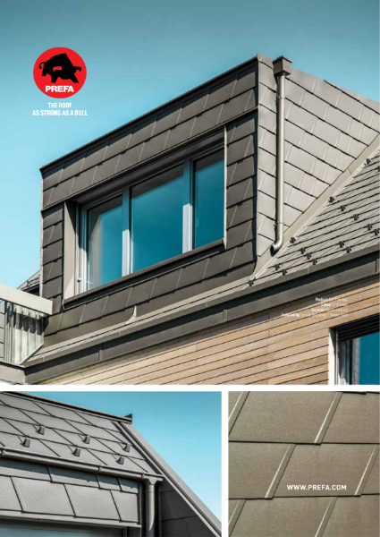 DS.19 Shingle for Roof & Facade