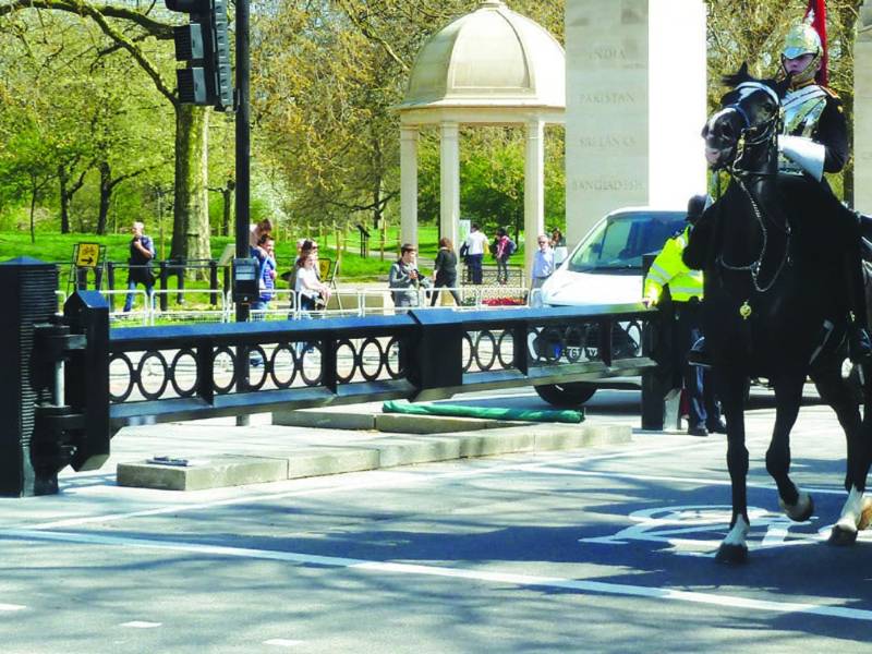 Binns Canada IWA14-1 Westminster Lockdown Gate