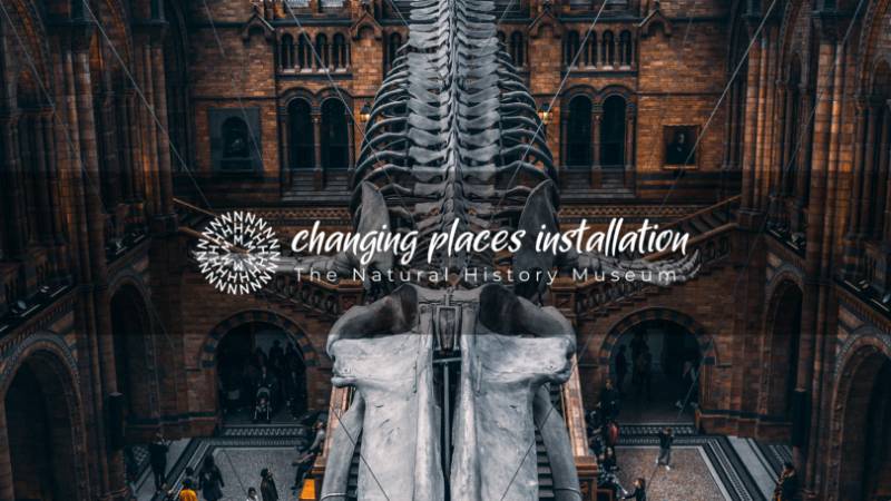 The Natural History Museum: Changing Places Toilet Install