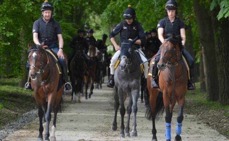 Park House Stables, Kingsclere