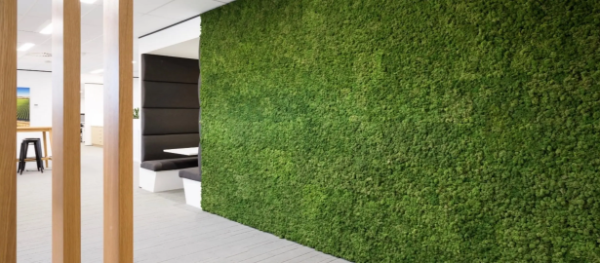 Living walls