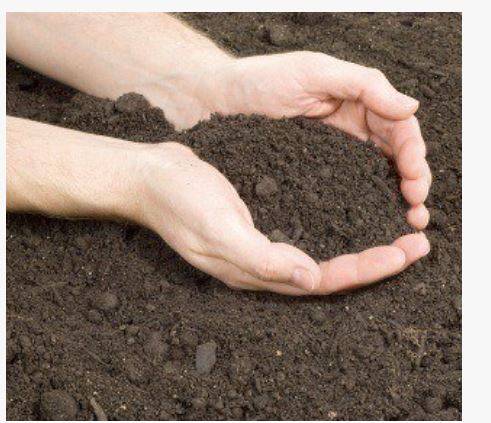 TS1 Plus Planting Loam