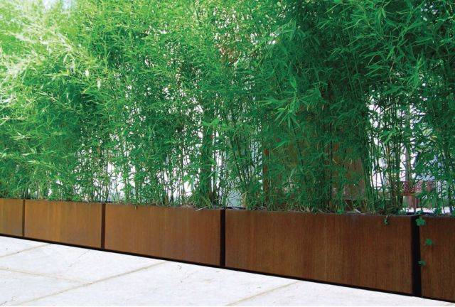 Bambu Planter