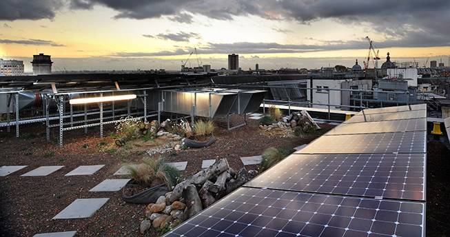 Green Roof, Biodiverse, Regent Street, Piccadilly, London, UK