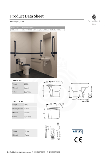 i.Care DOCM C/C Push Button (Blue Rail & Seat) with Rimless WC Pan