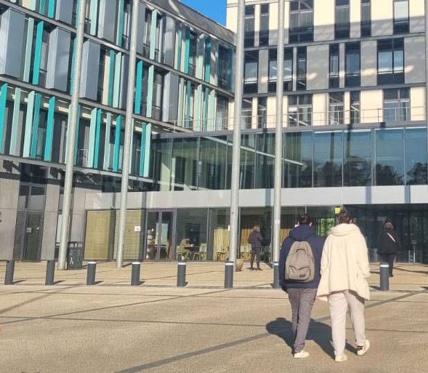 IWA 14 HVM Static Terra Comet Bollard – 3.5t at 30 mph - Anti-Terrorist Static Bollard