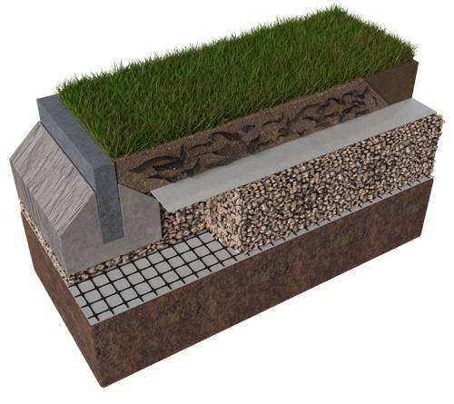 Lawn and meadow planting systems