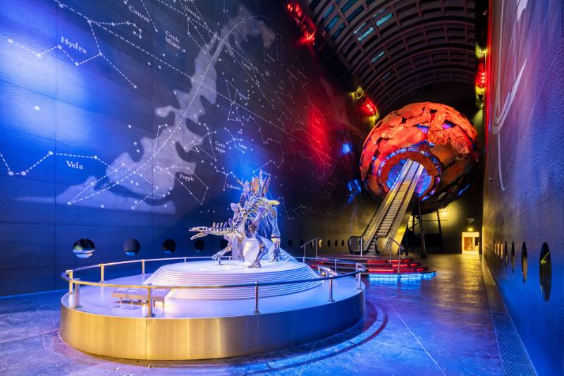 Natural History Museum - Fire and Smoke Curtains in Historic Buildings