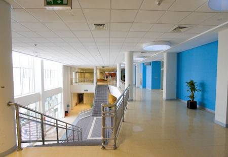 Standard XL Sheet - Homogeneous Sheet Vinyl Flooring