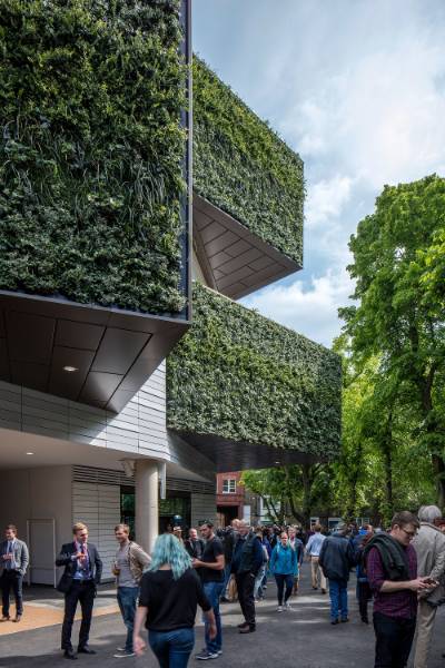 Lord's Cricket Ground Living Wall, St John's Wood