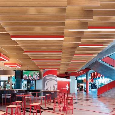 SoundScapes® Blades Linear Acoustical Panels – Wood Looks