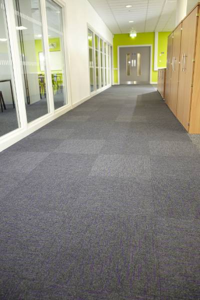 College Case Study - Array Purple Carpet Tiles