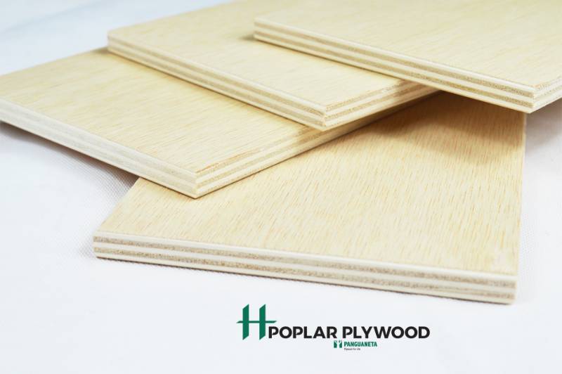 H Poplar Plywood