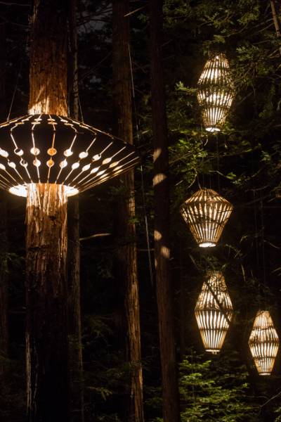DAVID TRUBRIDGE TEAM UP WITH MEDITE SMARTPLY TO LIGHT UP REDWOOD FOREST