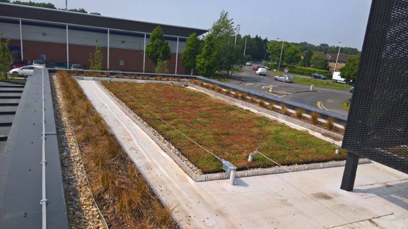 Green roof on Starbucks cafe