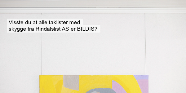 Bildis – Smart bildeoppheng uten hull i veggen