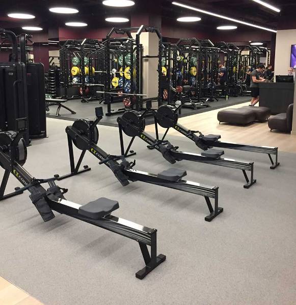 SPORTEC® Purcolor - Sheet Rubber Flooring