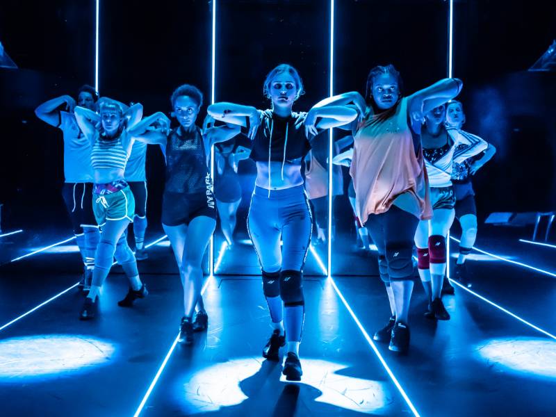 Dance and Performance Vinyl - Harlequin Allegro - Dance and Performance Vinyl