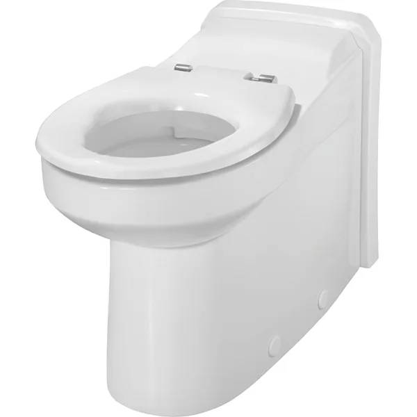 Twyford Avalon Floor-Standing WC, Washdown, Raised, Back-To-Wall, Large Projection, Rimfree