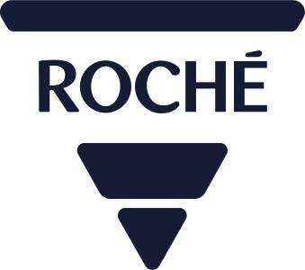 Roché Systems Ltd