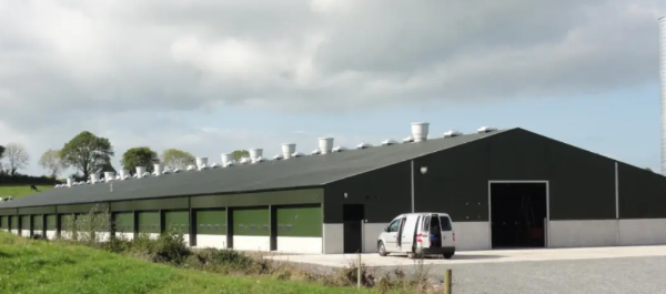 Broiler Poultry Facility, Ireland