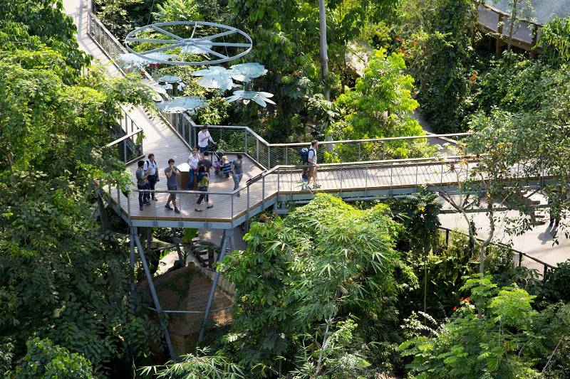 The Eden Project Treetop Canopy Walkway | Commercial Non-Slip Decking Case study