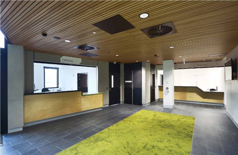 Roofs, ceilings and soffits