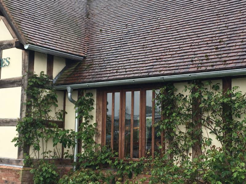 David Austin Roses - Alumasc Rainwater Infinity Steel