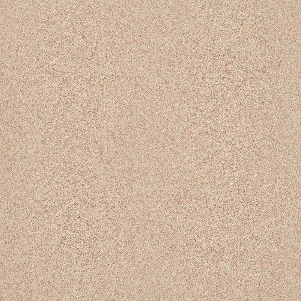 Tarasafe H2O - Sheet - New - Vinyl Flooring