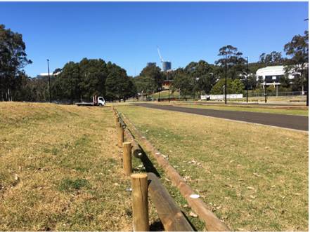 Macquarie University Car Park Turf Cell