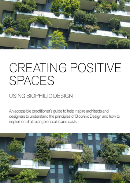 Creating Positive Spaces Using Biophilic Design